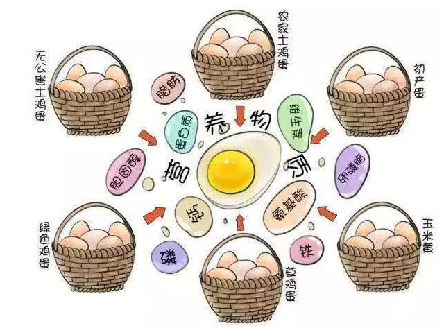 遍尋菜譜收集的雞蛋7中新吃法，第2中最好，第7中最營(yíng)養(yǎng)